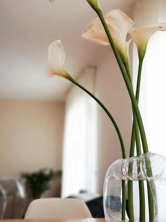 So Fine - Apulian Flats Apartment