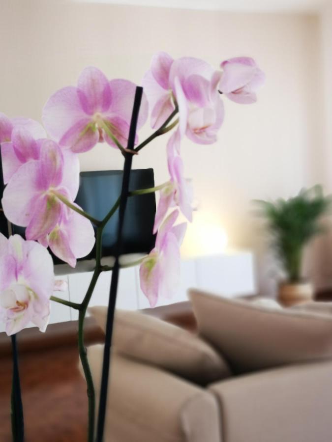 Apartament So Fine - Apulian Flats *